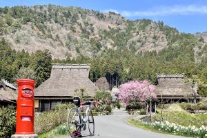 【京都府】サイクリングの聖地・美山で"かやぶきの里"と川沿いの桜を楽しむ20kmサイクリング
